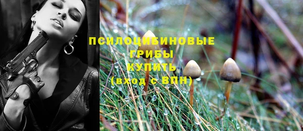 винт Беломорск
