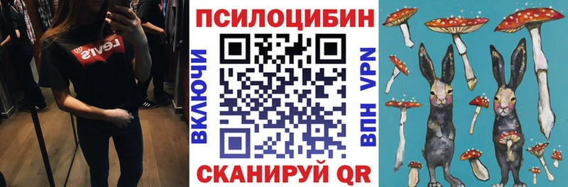 Купить где  Всеволожск  Галлюциногенные грибы Cubensis 